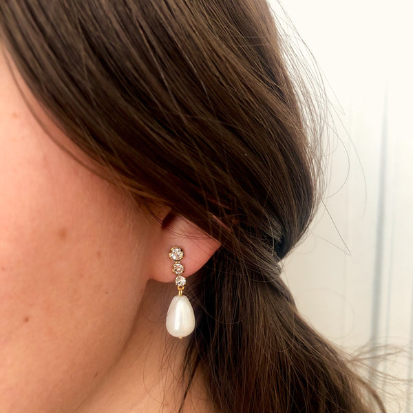 Precious earrings